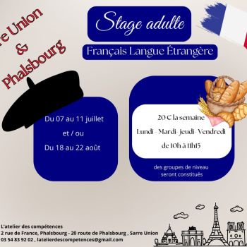 Stage de français/langues étrangères